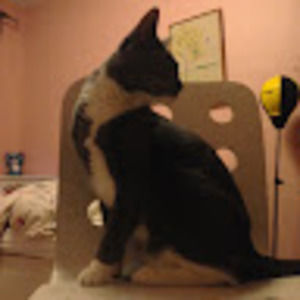 Meet your Posher, Michael